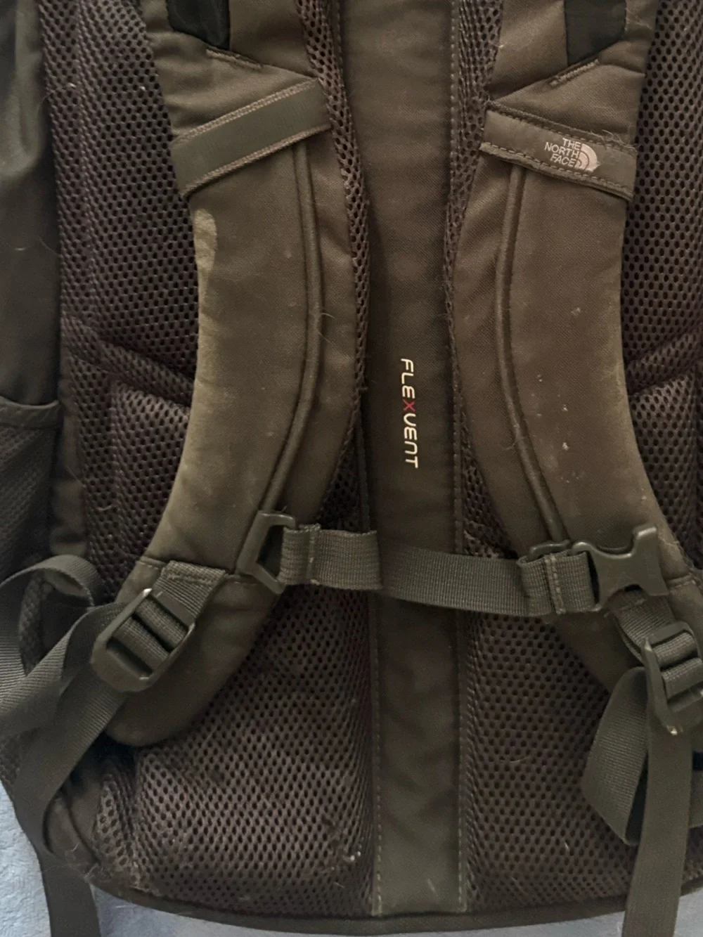 North Face Vault Backpack in Black and Gray with Cream Trim